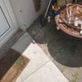 Firepit Image 2