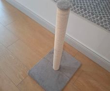 Cat scratching post new