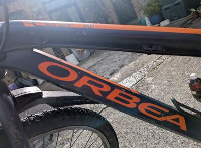 orbea kids
