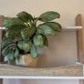 Beautiful ladder style desk Image 5