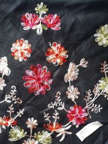 Pashmina