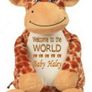 Personalised Teddy Gift Welcome New Baby Girl Boy Image 3