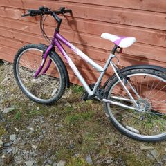 Ladies bike