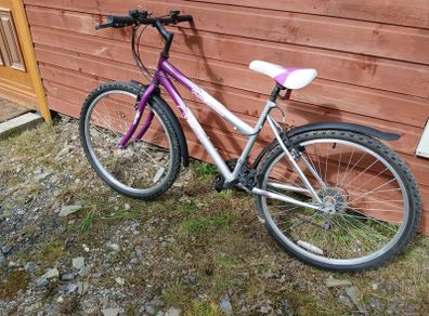Ladies bike