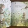 Book The Magic Feather Image 2