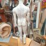 Vintage Anatomical Male Mannequin Image 5