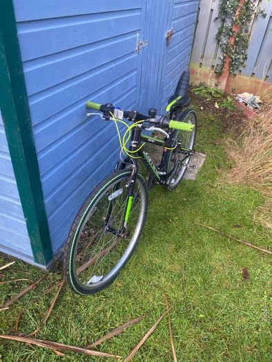 carerra bike