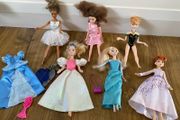 6 Fashion Doll and Accessories Bundle, Elsa, Anna, Cinderella and Violetta