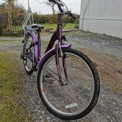 20" girls bike