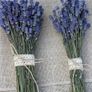 Dried Lavender bunch ... Dried flower bouquet / Handpicked / Superior Quality/ Lavender wedding / Bridesmaid bouquet Image 7