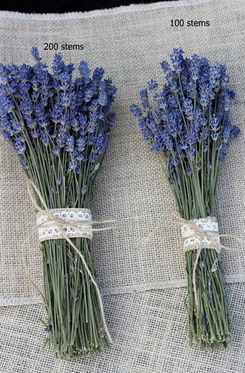 Dried Lavender bunch ... Dried flower bouquet / Handpicked / Superior Quality/ Lavender wedding / Bridesmaid bouquet