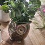 Artificial Plants in Ceramic, Glass, Stone & PVC Pots x8 Image 2