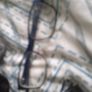 sun Image 4