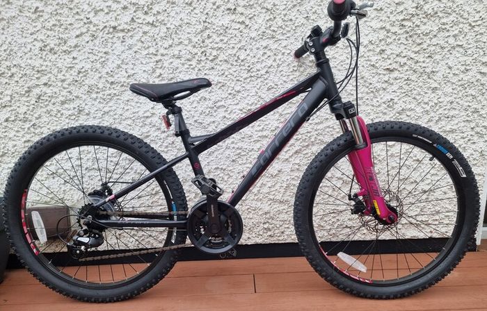 Carrera Luna Junior Mountain Bike 24 Wheel