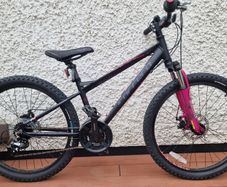 Carrera Luna Junior Mountain Bike 24 Wheel