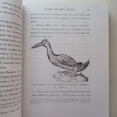 The Gannet a Bird With a History - J.H. Gurney - Wildlife Book - Bird Book - Ornithology Book