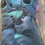 Brand New PIIMNT Stitch cuddly toy, 50cm Stitch cuddly toy XXL, Image 4