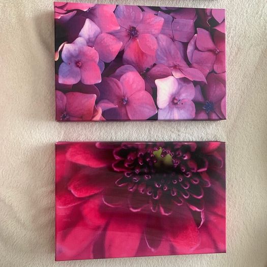 Set Of 3 Canvas Pictures