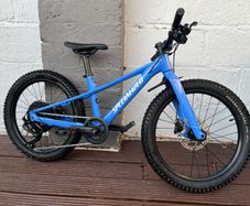 Specialized Kids Riprock 20