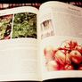 1978. The Complete Gardener. Brian Walkden. Image 4