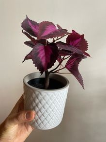 artificial plant and pot x3