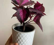 artificial plant and pot x3
