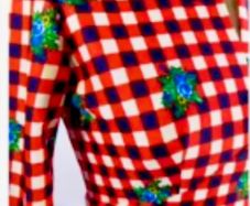 vintage 1960s dress