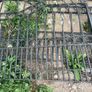 entrance gates Image 5