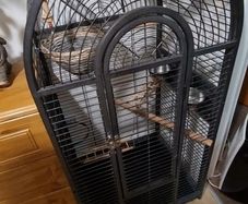 bird cage