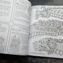 Mythomorphia and The Book of Beasts Colouring books Image 3