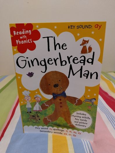 Reading With Phonics Story Books