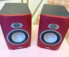 Tannoy Reveal 6P