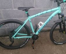 ladies bike
