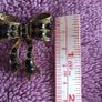 Dorothy Perkins Black Rhinestone Bow Brooch Image 6