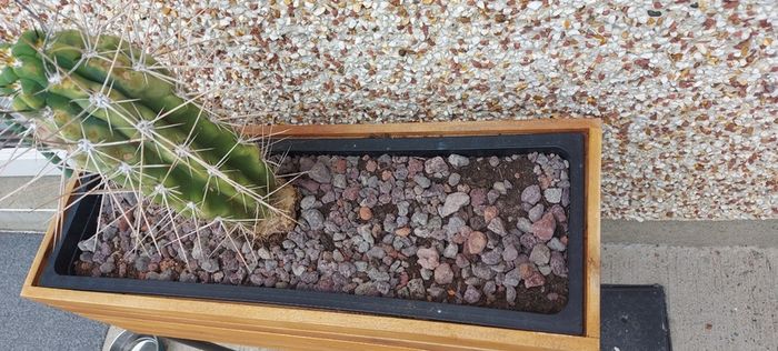 Wooden planter