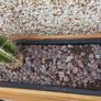 Wooden planter Image 2