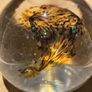Art Glass Paperweight Image 8