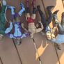 WWE Wrestlers Image 3
