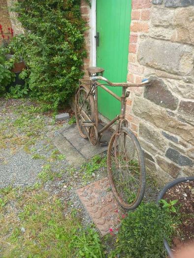 Vintage Bicycles