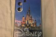 S24 Disney case