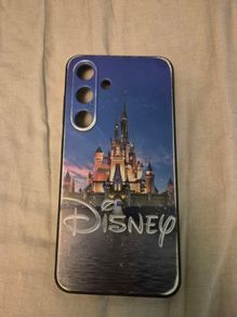 S24 Disney case