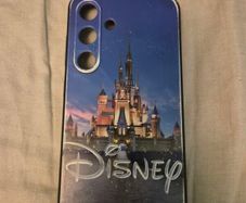 S24 Disney case