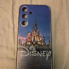 S24 Disney case