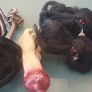 Huge Halloween Decoration Bundle with storage Box Image 2