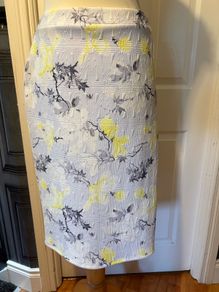 ladies skirt