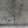 Beautiful Blinds blackout plus 2 NEW matching pillow covers Image 3