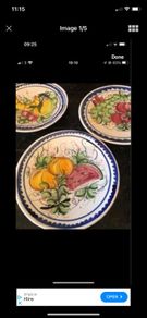 Vintage Hand painted Wall Plates Set