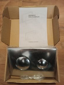 Pneumatic dual flush plate