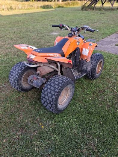 Palaris Quad