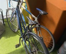 bikes